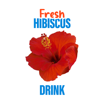 Natural Hibiscus Drink 330ml - مشروب كركديه طبيعي